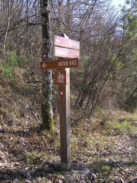 Apartma Istra Zora Sečovlje Pokój zdjęcie