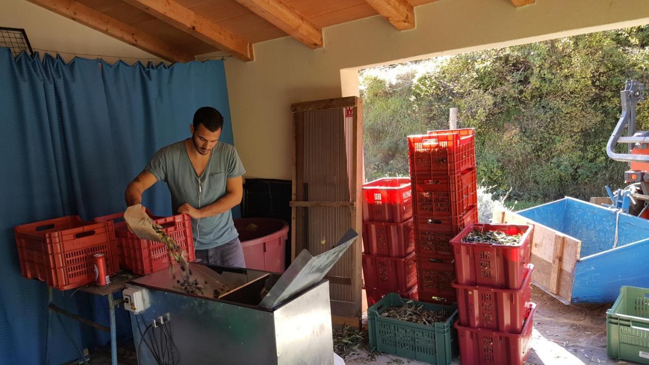 Apartma Istra Zora Sečovlje Zewnętrze zdjęcie